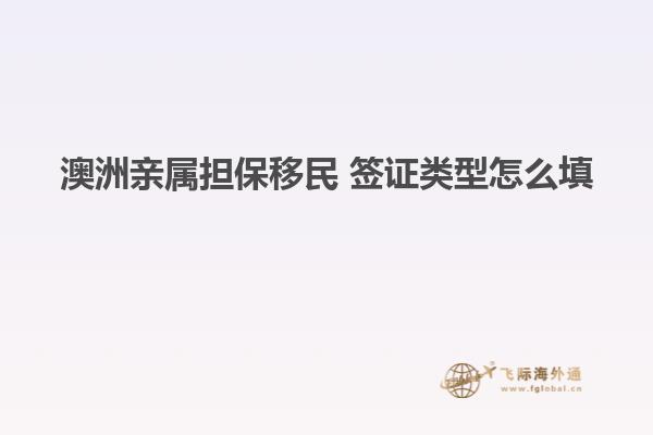 澳洲亲属担保移民 签证类型怎么填