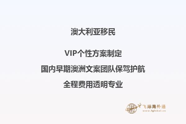 澳洲亲属担保移民 签证类型怎么填