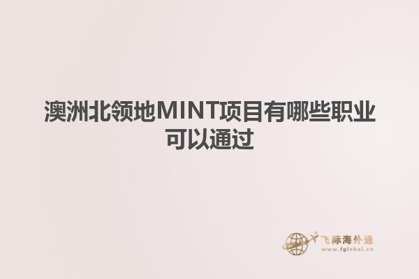澳洲北领地MINT项目有哪些职业可以通过