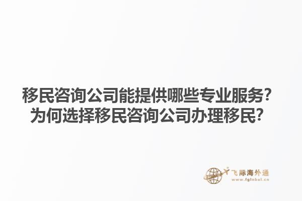 移民咨询公司能提供哪些专业服务？为何选择移民咨询公司办理移民？1.jpg