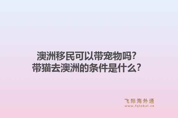 澳洲移民可以带宠物吗？带猫去澳洲的条件是什么？1.jpg