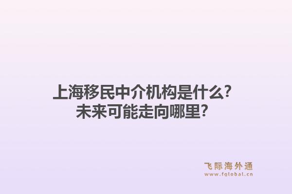 上海移民中介机构是什么？未来可能走向哪里？