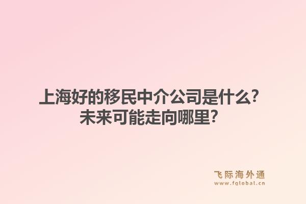 上海好的移民中介公司是什么？未来可能走向哪里？