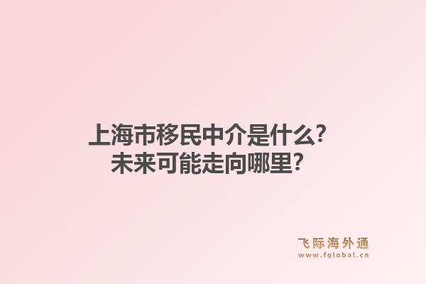 上海市移民中介是什么？未来可能走向哪里？