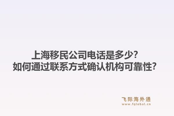 上海移民公司电话是多少？如何通过联系方式确认机构可靠性？