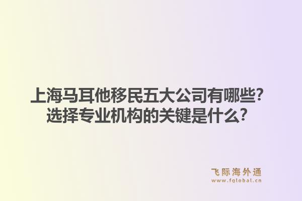 上海马耳他移民五大公司有哪些？选择专业机构的关键是什么？