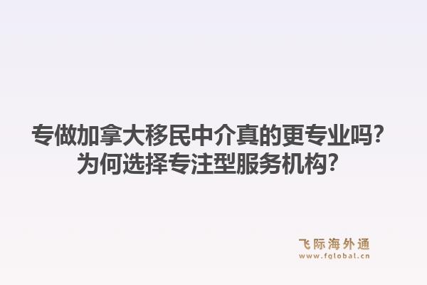 专做加拿大移民中介真的更专业吗？为何选择专注型服务机构？