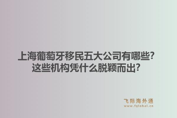 上海葡萄牙移民五大公司有哪些？这些机构凭什么脱颖而出？
