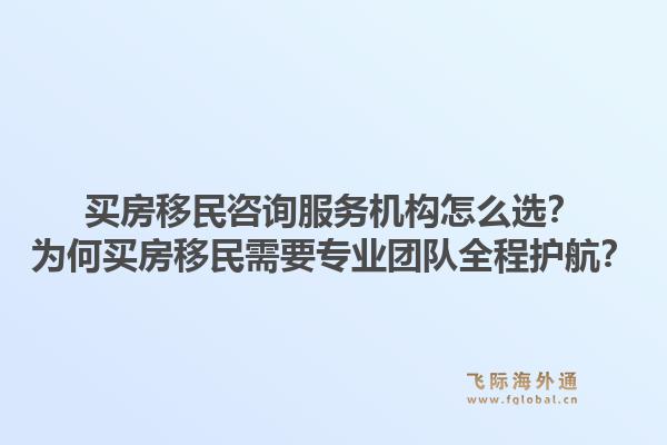 买房移民咨询服务机构怎么选？为何买房移民需要专业团队全程护航？