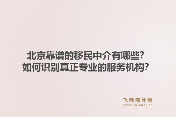 北京靠谱的移民中介有哪些？如何识别真正专业的服务机构？