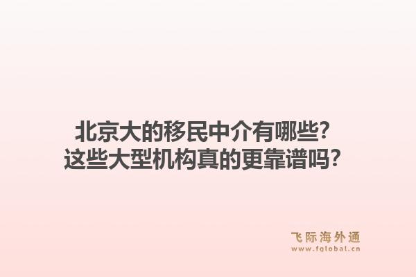 北京大的移民中介有哪些？这些大型机构真的更靠谱吗？