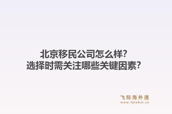 北京移民公司怎么样？选择时需关注哪些关键因素？