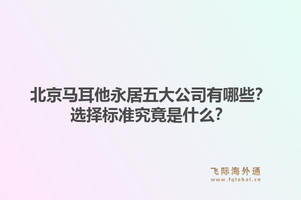 北京马耳他永居五大公司有哪些？选择标准究竟是什么？