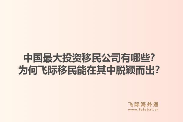 中国最大投资移民公司有哪些？为何飞际移民能在其中脱颖而出？