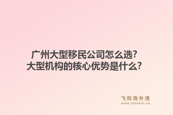 广州大型移民公司怎么选？大型机构的核心优势是什么？1.jpg