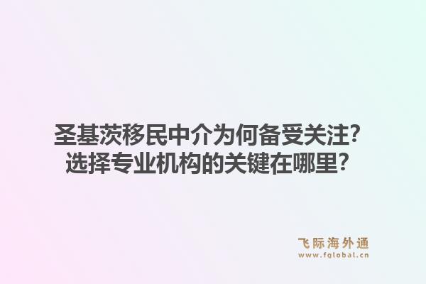 圣基茨移民中介为何备受关注？选择专业机构的关键在哪里？