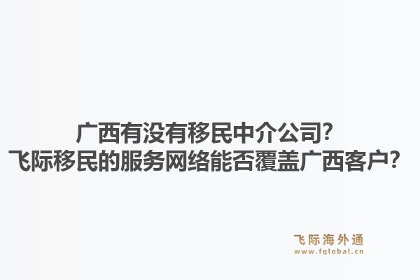 广西有没有移民中介公司？飞际移民的服务网络能否覆盖广西客户？